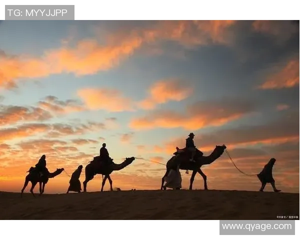 探索索博斯洛伊的历史与文化遗产之旅:揭开神秘面纱的多元魅力